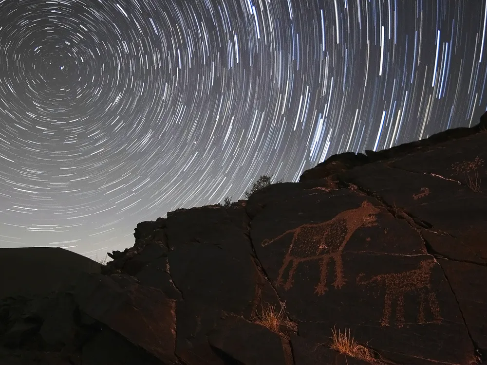 animal carvings on stone under a night sky