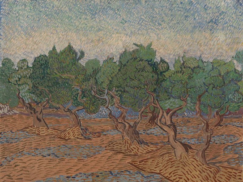 oil painting of an olive grove