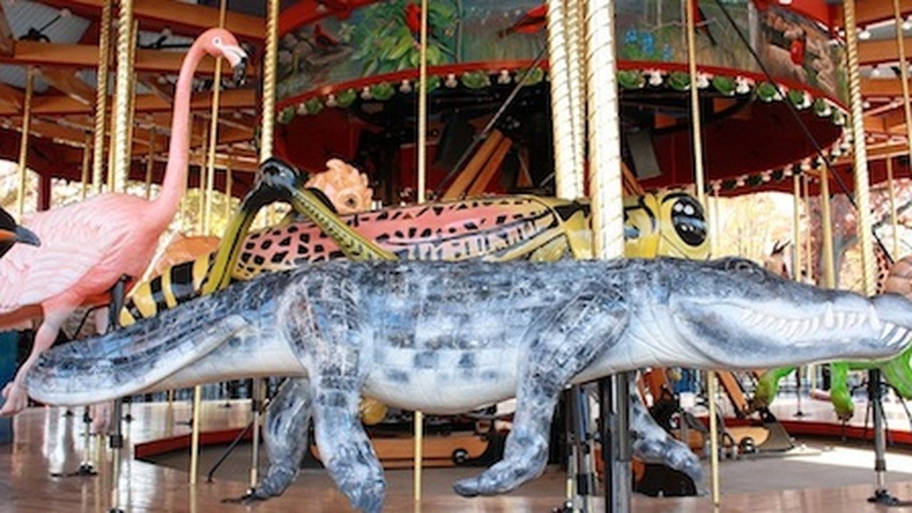 National Zoo Carousel Hours