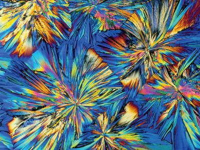 Adrenaline crystals (polarized light micrographs). Adrenaline, also called epinephrine, is normally present in blood in small quantities. It is a hormone produced in the adrenal glands above the kidneys. The glands are controlled by the hypothalamus, the part of the brain responsible for instinct and emotion. In times of stress, more adrenaline is secreted into the bloodstream. It widens the airways of the lungs and constricts small blood vessels. This makes the muscles work harder and produces a "fight or flight" response. Adrenaline used as a drug expands the bronchioles in acute asthma attacks and stimulates the heart in cases of anaphylactic shock. 