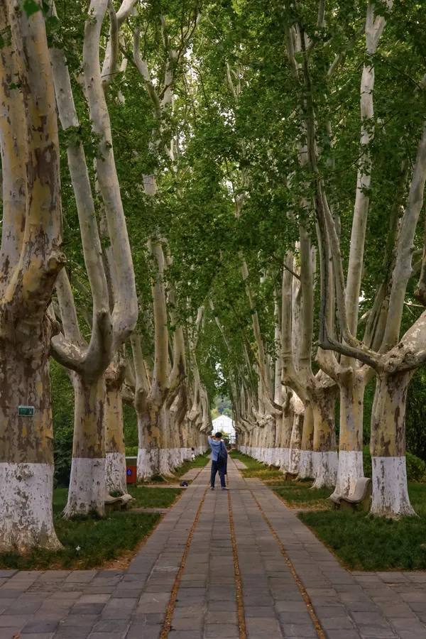 The Photographer's Dream thumbnail