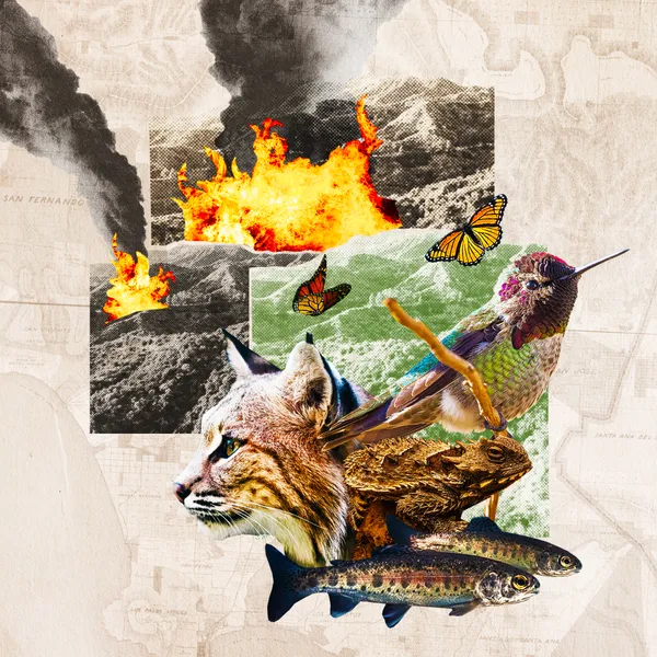 Podcast artwork