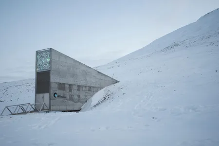 The Svalbard Global Seed Vault keeps backups of the world's seeds safe in case of catastrophe.
