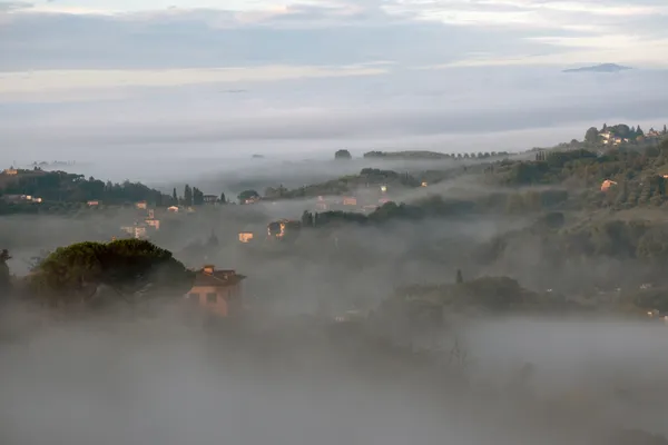 Morning mist thumbnail