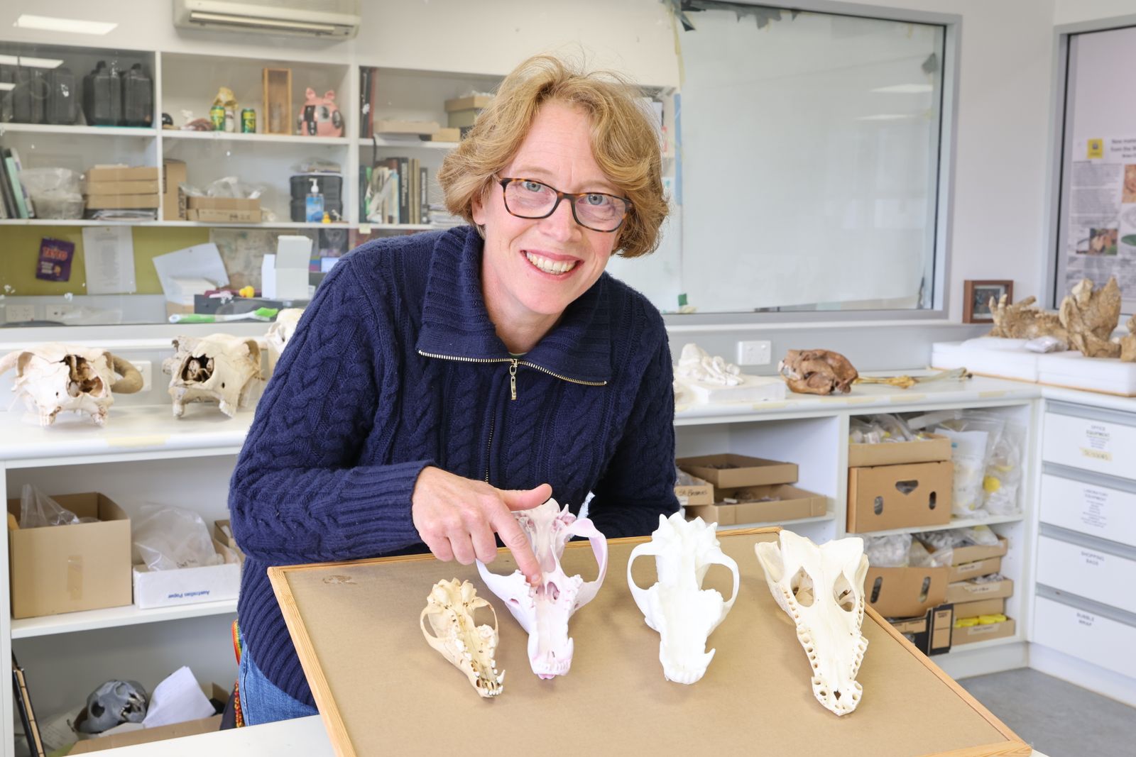 The Tasmanian Tiger Was Branded a Livestock Killer. New Research Challenges That Myth
