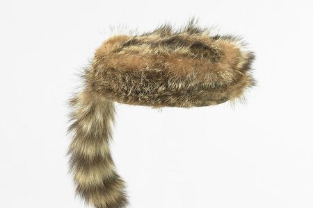 At the height of their popularity in the 1950s, children's coonskin caps like this one from the Smithsonian collections, sold at the rate of 5,000 per day.
