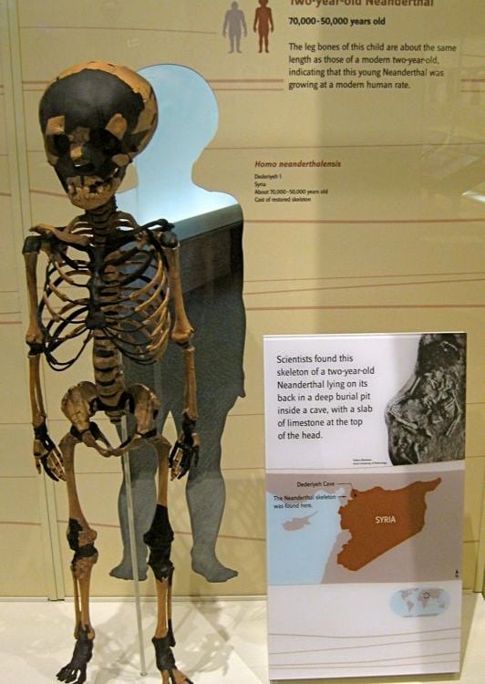 20110520102346NeanderthalChild.jpg