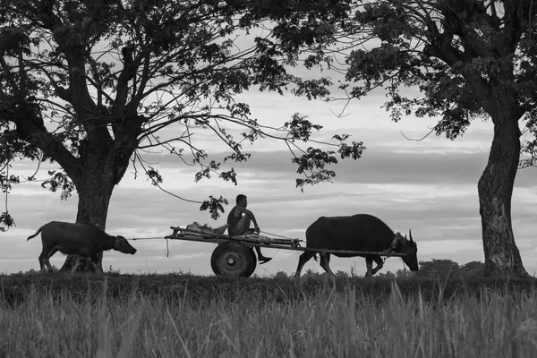 Morning Commute thumbnail