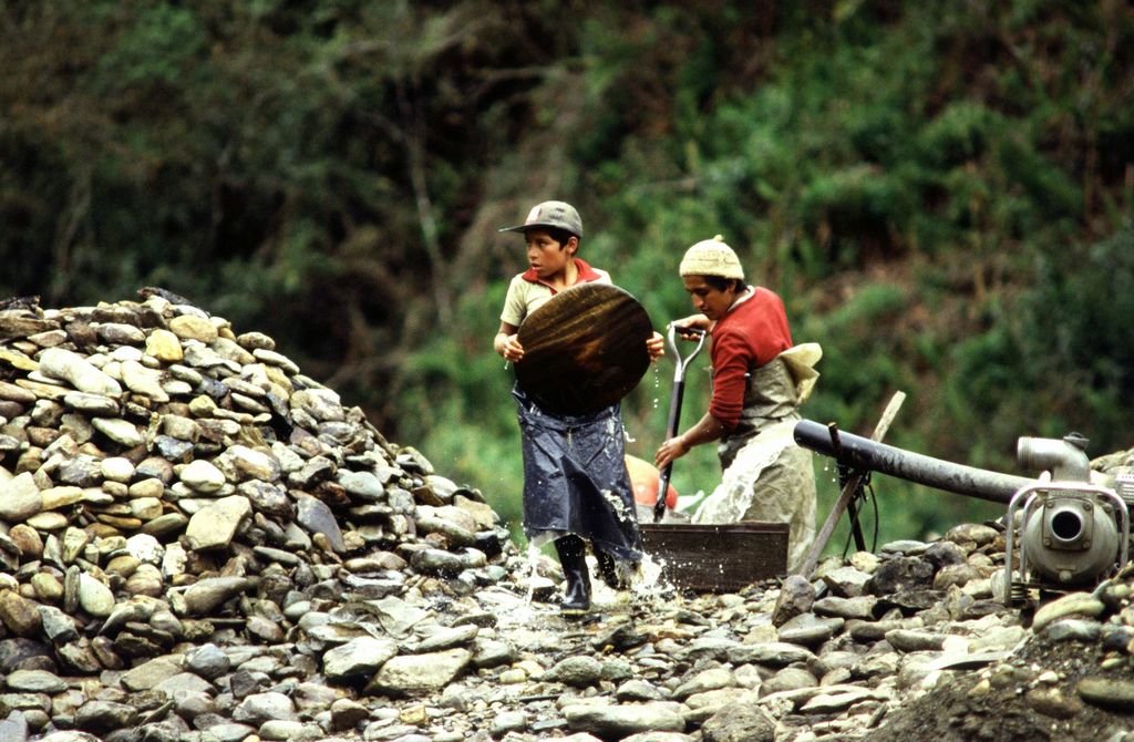 Gold Miners