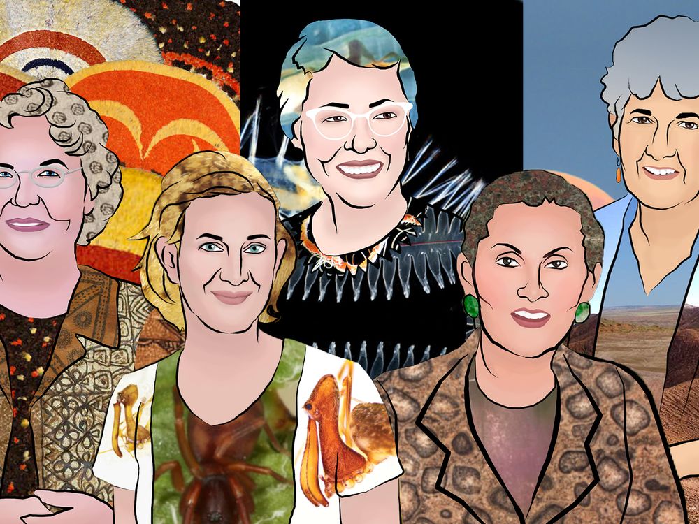 Past and present female scientists at the Smithsonian’s National Museum of Natural History have advanced humankind’s understanding of the natural world and its place in it. L to R: Adrienne Kaeppler, Hannah Wood, Marian Pettibone, Sorena Sorenson and Kay Behrensmeyer. (Smithsonian Institution).
