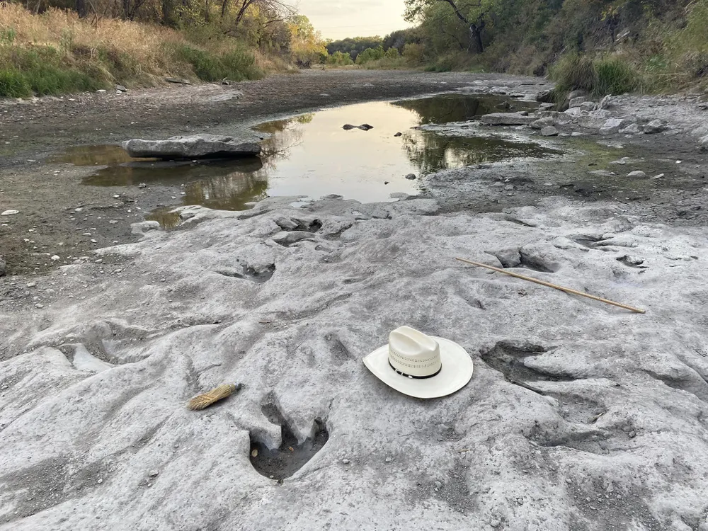 Dinosaur tracks next to cowboy hat by a dried up river