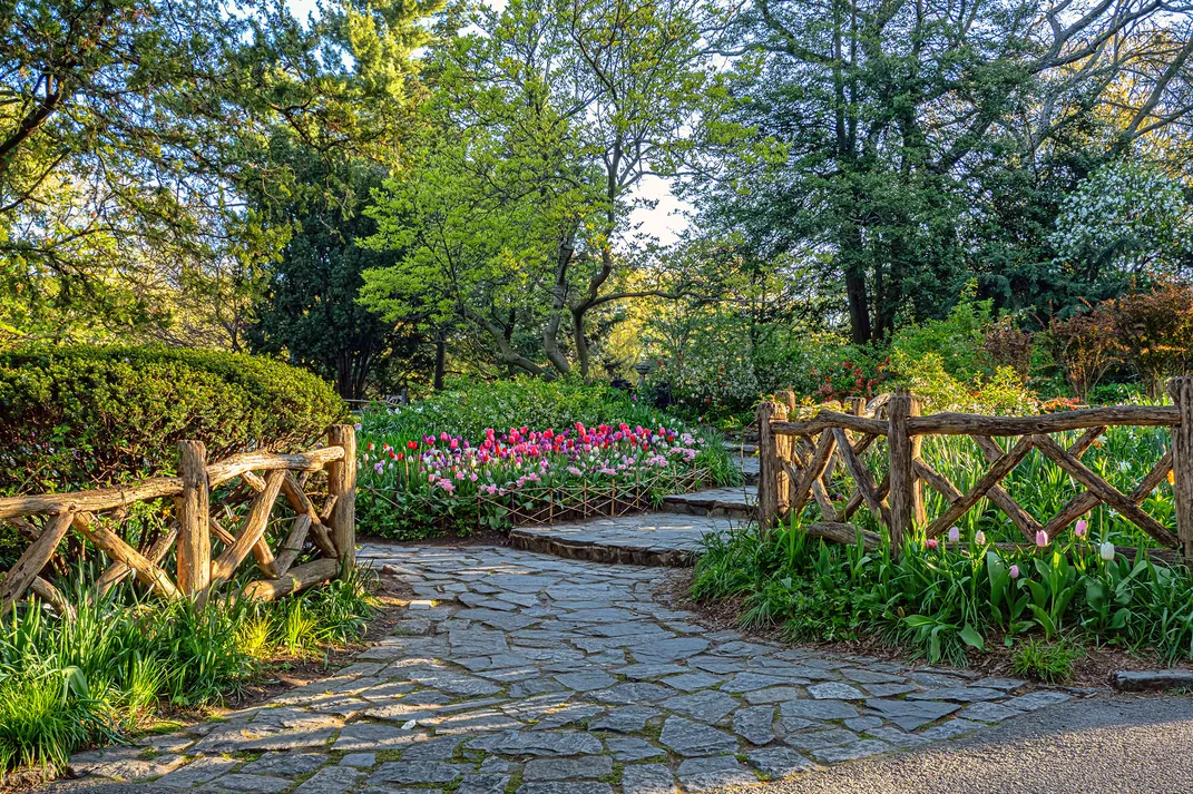 Shakespeare garden in Central Park