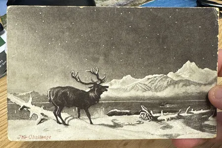 The front of the postcard features a print of&nbsp;The Challenge&nbsp;(1844) by&nbsp;English artist Edwin Henry Landseer.