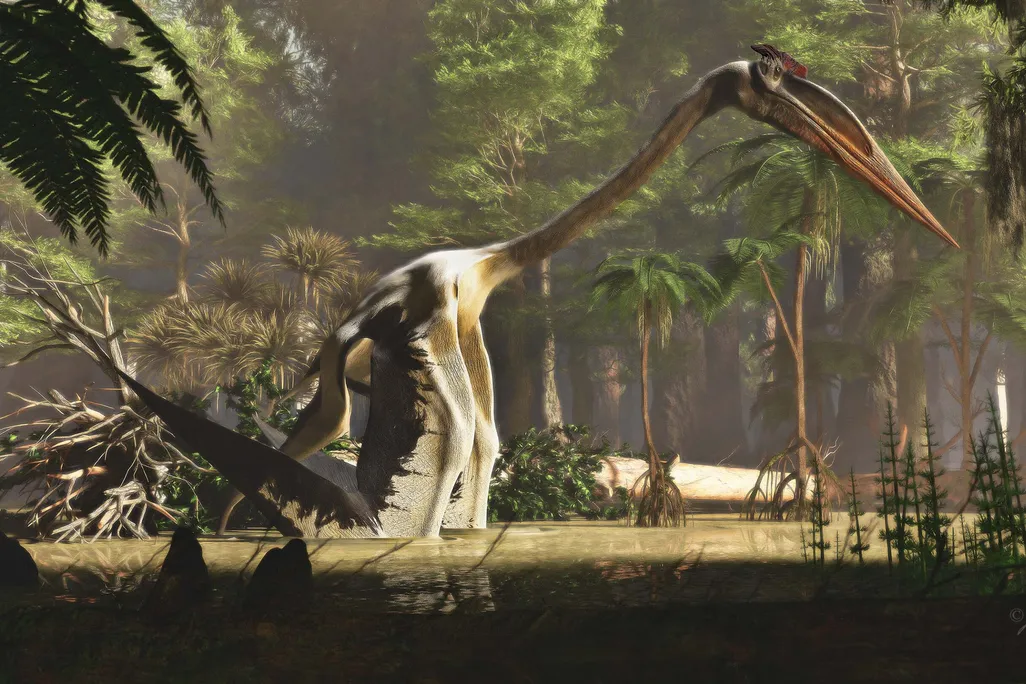 An illustration of Quetzalcoatlus walking through a marsh surrounded by lush trees. It walks on all fours with bat-like wings on its front legs; it's shaped like a giraffe with a small abdomen and a long neck. It has a huge head and a massive, pointy beak