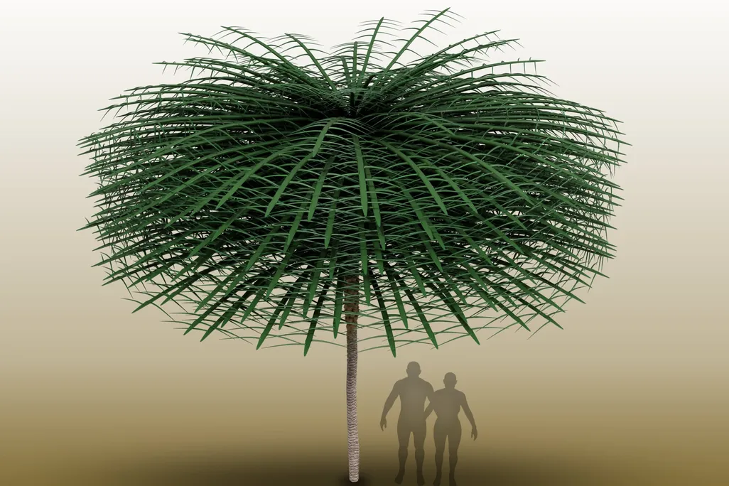 A computer rendering of the tree, with long green branches that create a nearly 20-foot canopy, with two human silhouettes standing beneath, for scale.