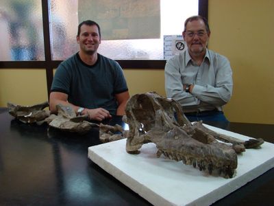 Paleontologists Matt Lamanna and Ruben Martinez with the skull of Sarmientosaurus