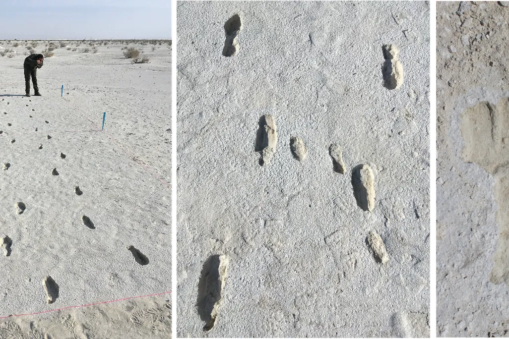 White Sands footprints