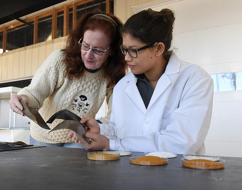 From Trash To Treads: Turning Tomato Peels and Eggshells Into Tires