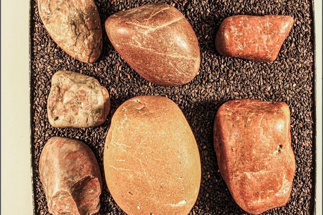 possible dinosaur gastroliths