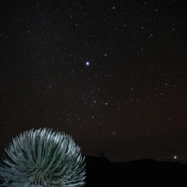 Haleakala Silver Sword and Sirius thumbnail