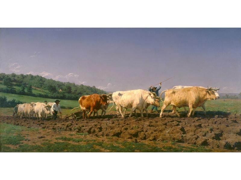 Rosa Bonheur, <em>Ploughing in the Nivernais</em>, 1849