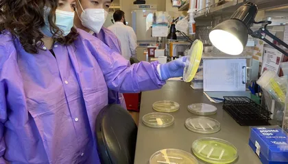 Drug-Resistant Germs Now Kill More Than 50,000 Americans Each Year, According to a New CDC Report