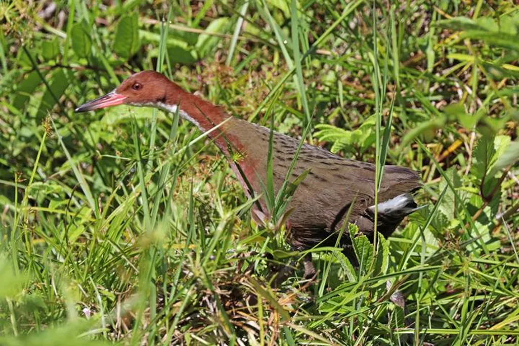 200513_web.jpg