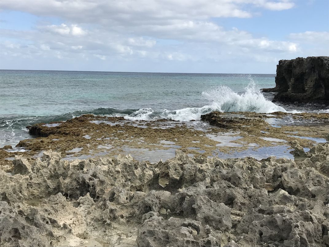 Waves crashing against the shore | Smithsonian Photo Contest ...