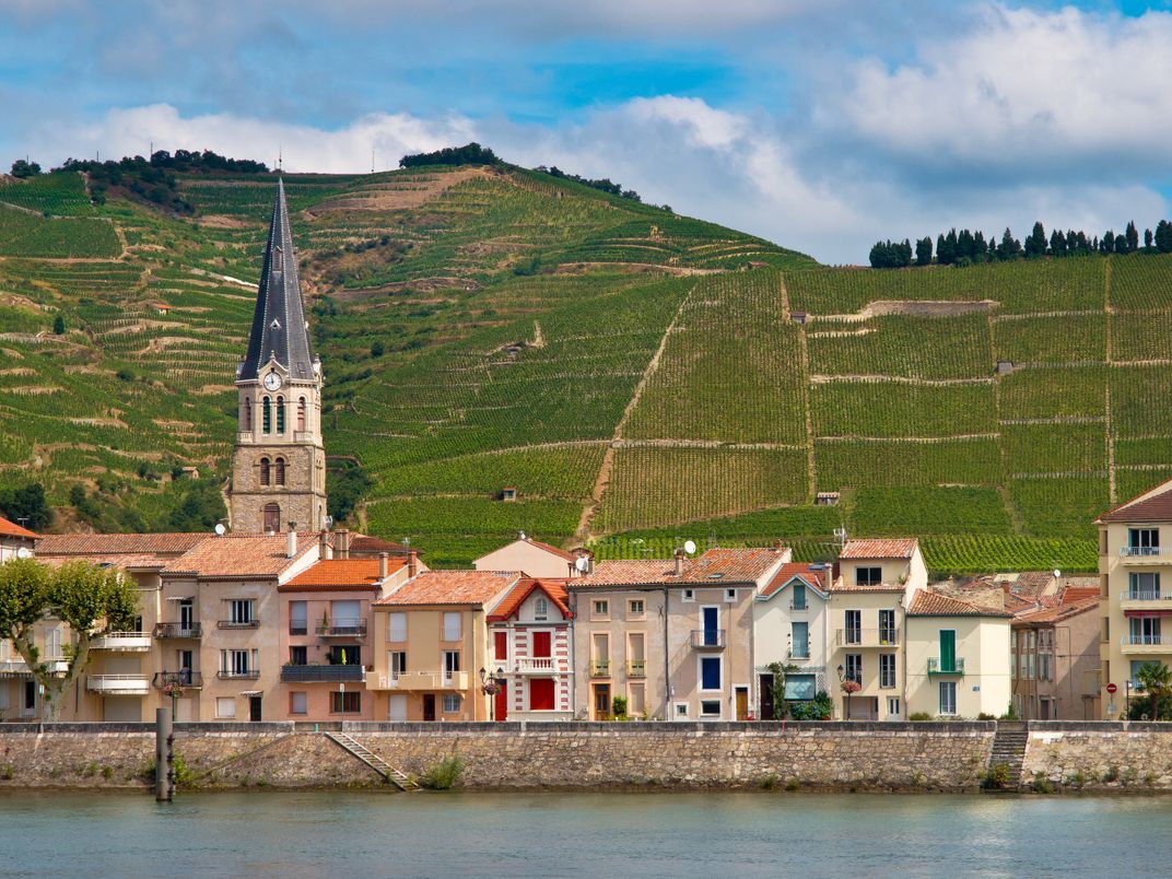 The village of Tournon and vineyards