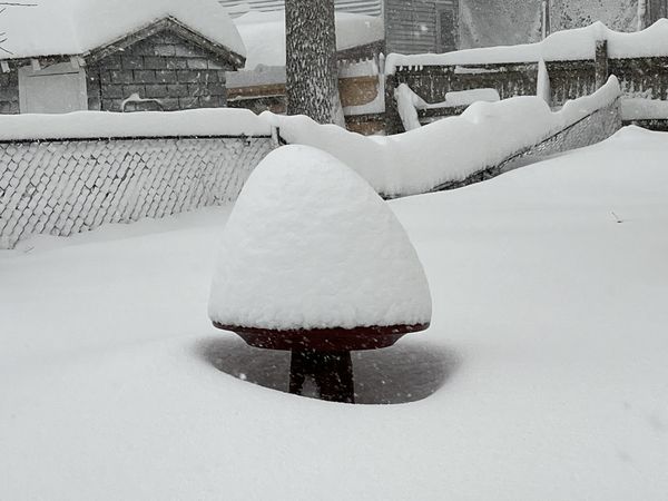 Solitary Birdbath seeks Snowbird thumbnail