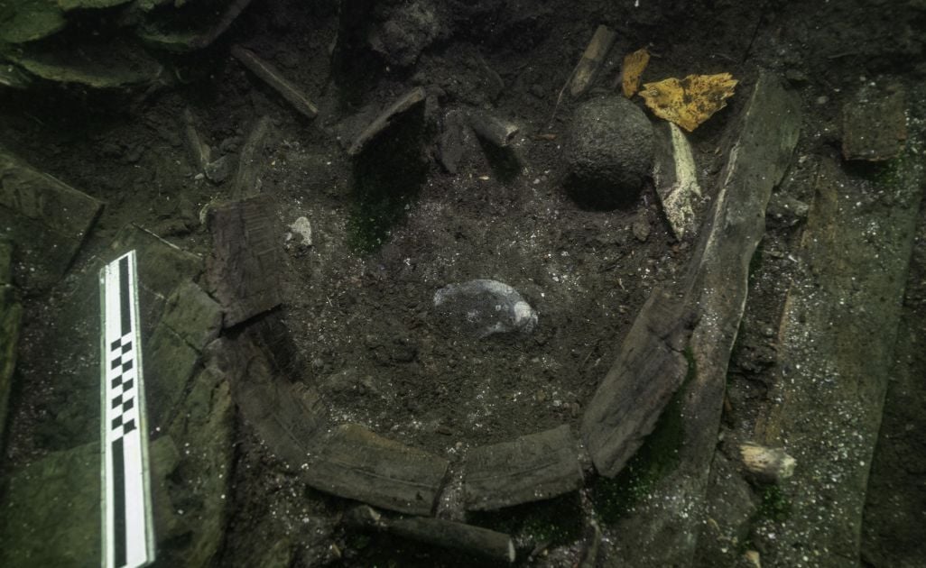 Shipwreck sturgeon