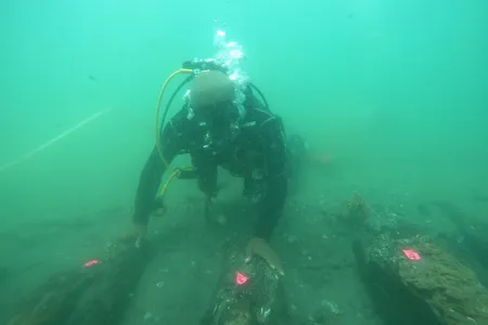 Archaeologists Caesar Bita and&nbsp;Filipe Castro dove to investigate the wreck.