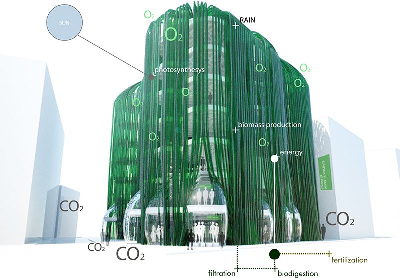 Will Buildings of the Future Be Cloaked In Algae?