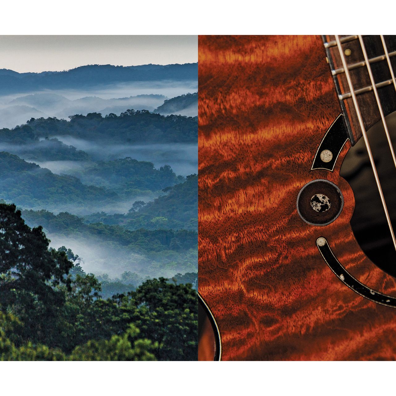 洋書 The art of wood and tone Masters of Tonewood: The Hidden Art of Fine Stringed