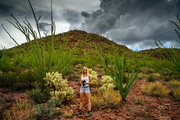 Female nature photographer taking photos of the saguaro cactus thumbnail