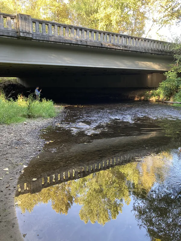 Salmon spawning thumbnail