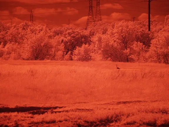 Infrared Examples In Real Life