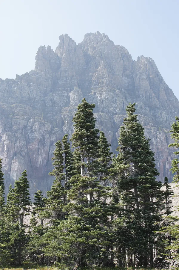 The Trees Mirror the Rocks thumbnail