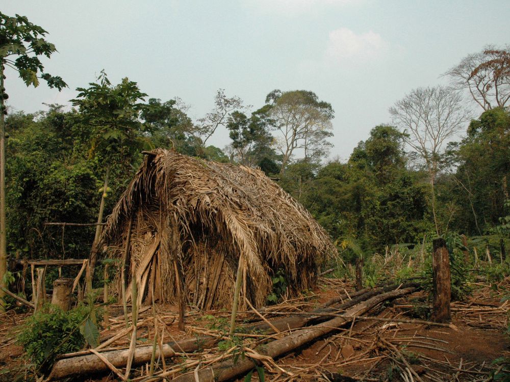 One of the man’s huts