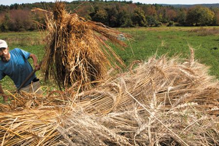 “Man does not live by salad alone,” says farmer Tevis Robertson-Goldberg of Massachusetts. “He needs croutons.”