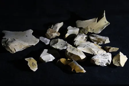 Researchers analyzed flint tools found at the Evron Quarry in Israel.