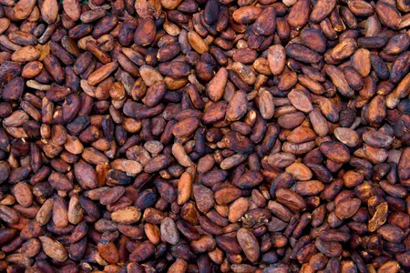 1,000 years ago, Native Americans in the Southwest likely traded for cacao beans from far-away parts of Mexico and South America. 