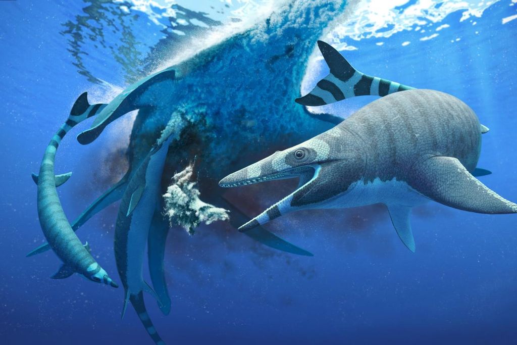 Xenodens calminechari