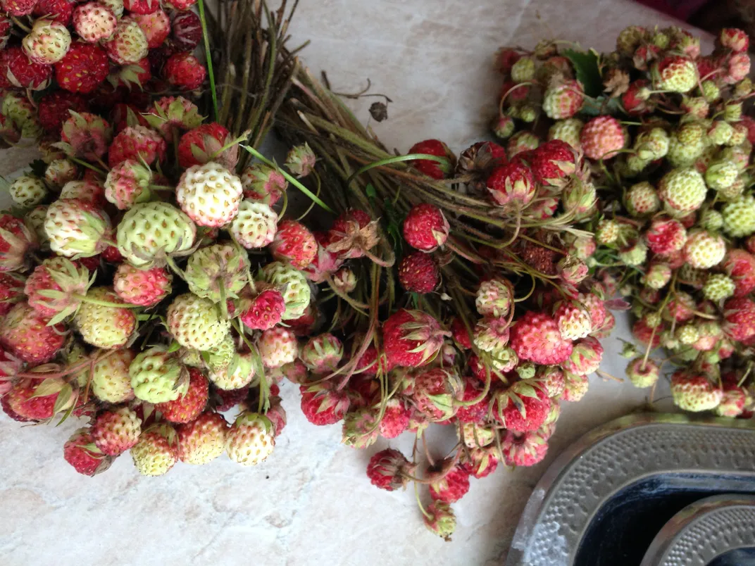 Wild foraged strawberries