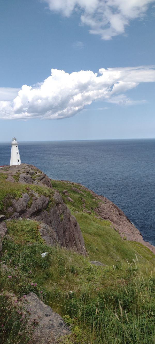 Cape Spear, as far east as you can get in N.A. on a clear day thumbnail