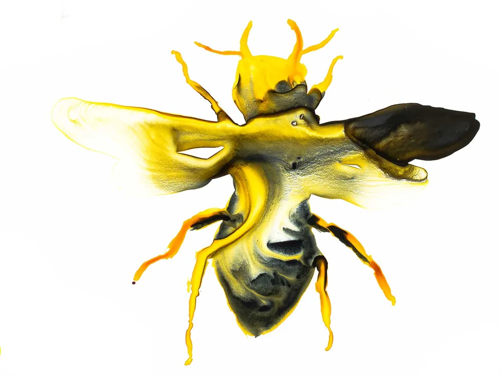 Illustration d'abeille