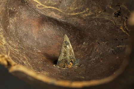 Some human bones, including this skull, found at the Tollense Valley battlefield were pierced with arrowheads.