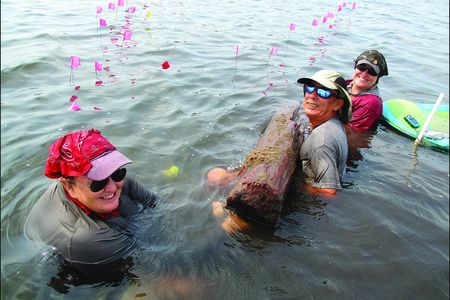 Researchers excavating a large wooden post