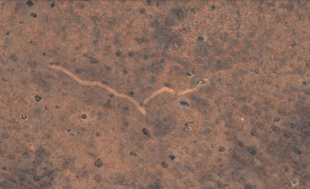 Overhead view of a squiggly line against tan backdrop
