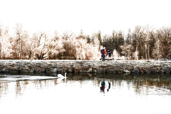 winter wonderland thumbnail